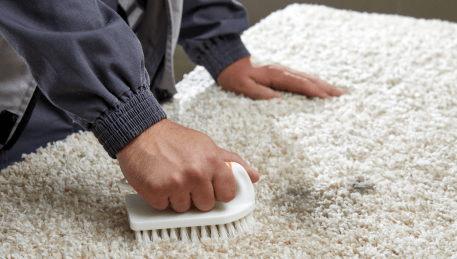 Professional Rug Cleaning Warrandyte